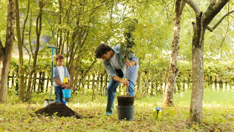 Portrait-of-a-little-boy-and-his-dad-planting-a-tree.-Man-takes-the-tree-from-the-bucket-and-puts-it-into-the-hole.-Boy-stands-beside-his-father-with-the-bucket-and-a-spade.-Blurred-background